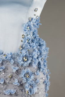 Aster Frost