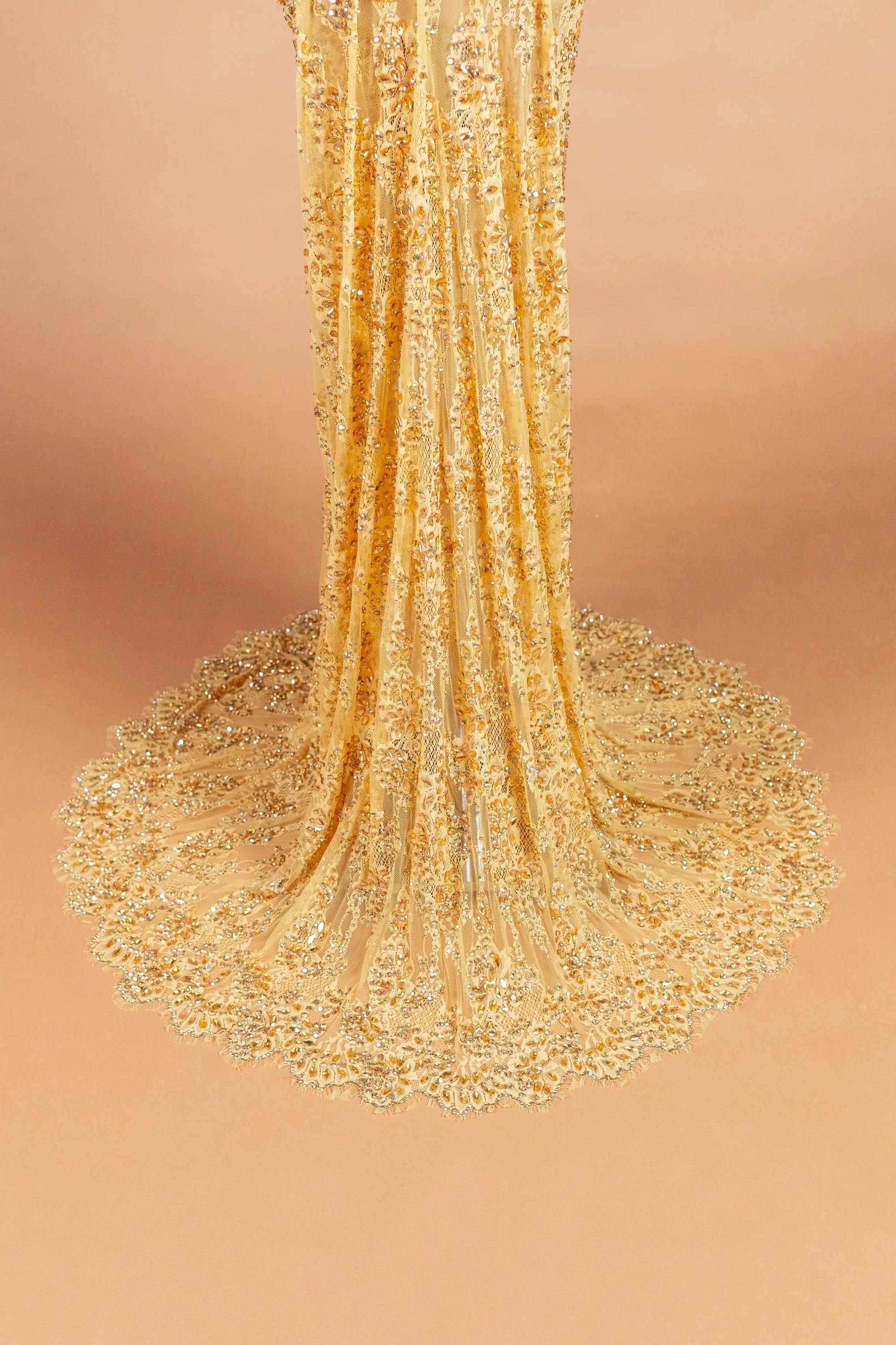 Sihëna Onyx Rivière — gold v-neck off-shoulder mermaid evening dress